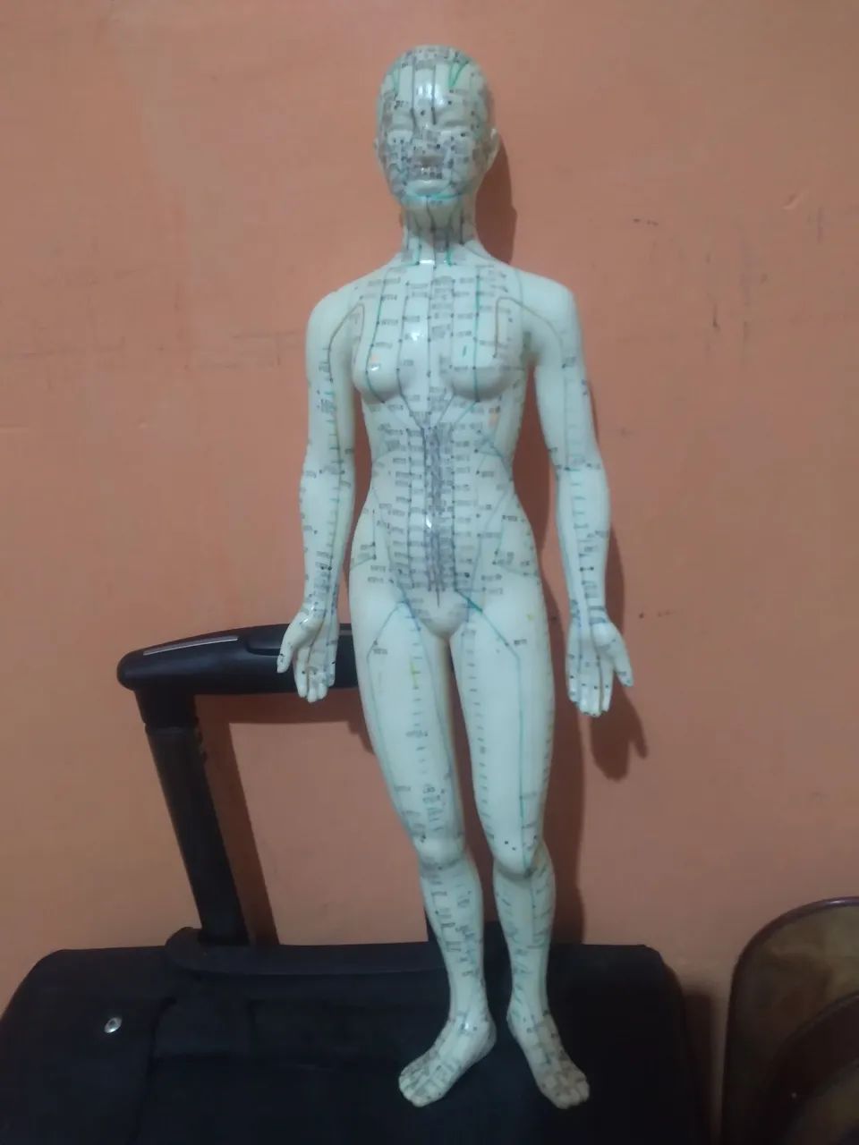 Boneca de silicone anatômica para acupuntura 