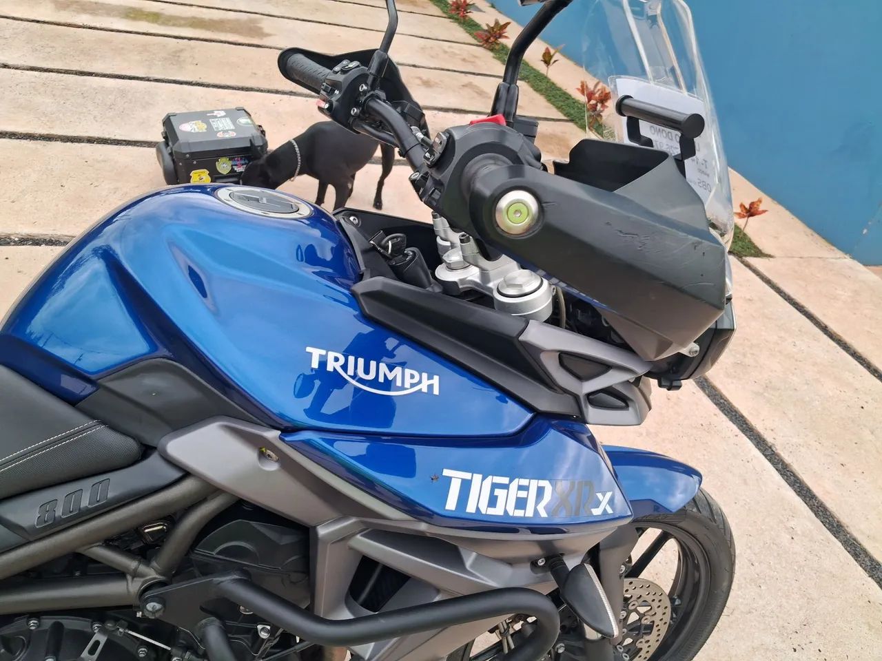 Tiger 800 - Foto 2