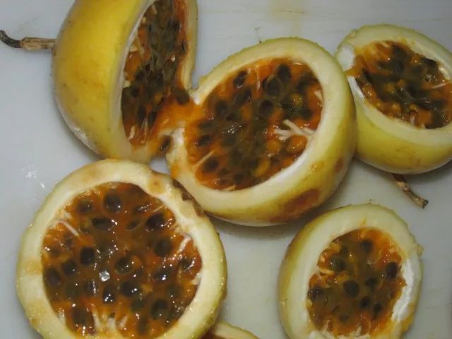 Semente de Maracujá Azedo - Foto 2