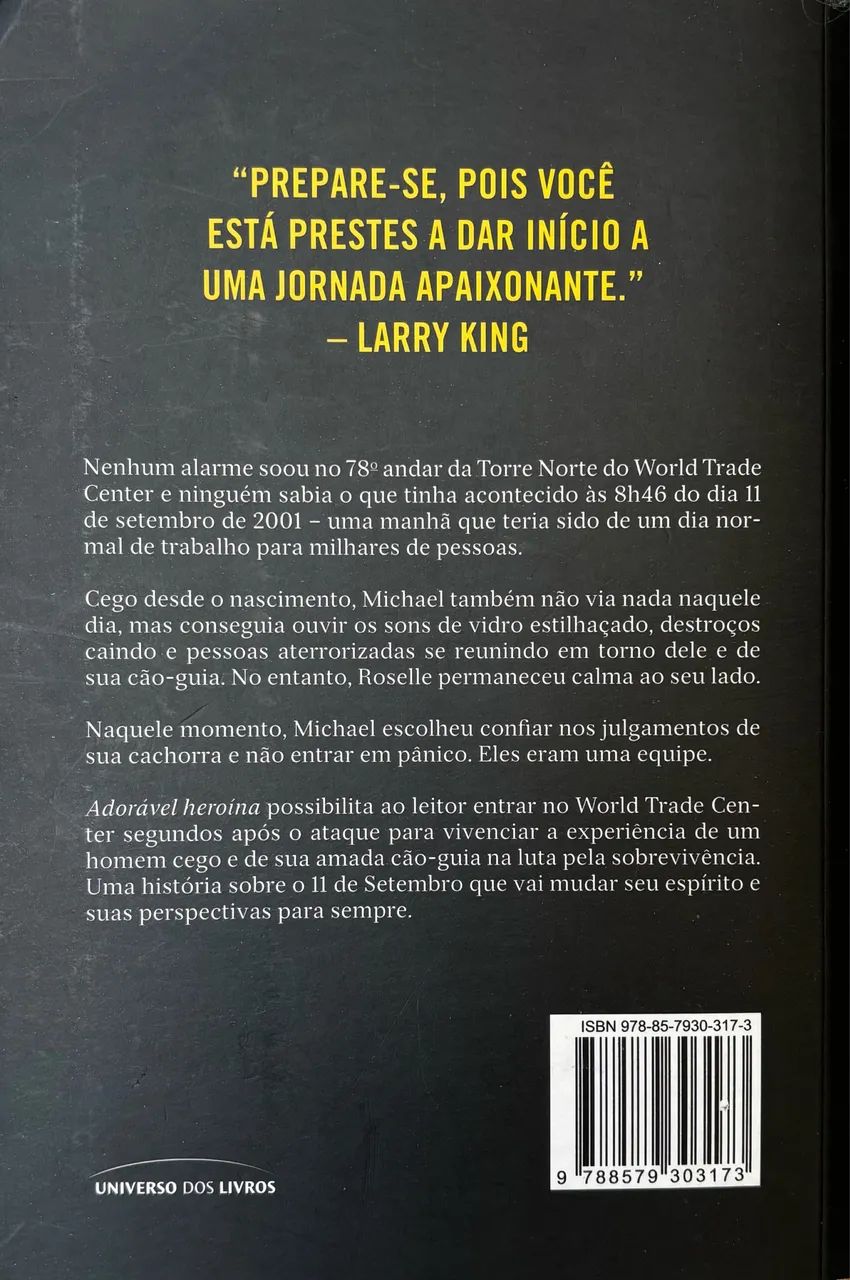 Livro: Adorável Heroína  - Foto 4