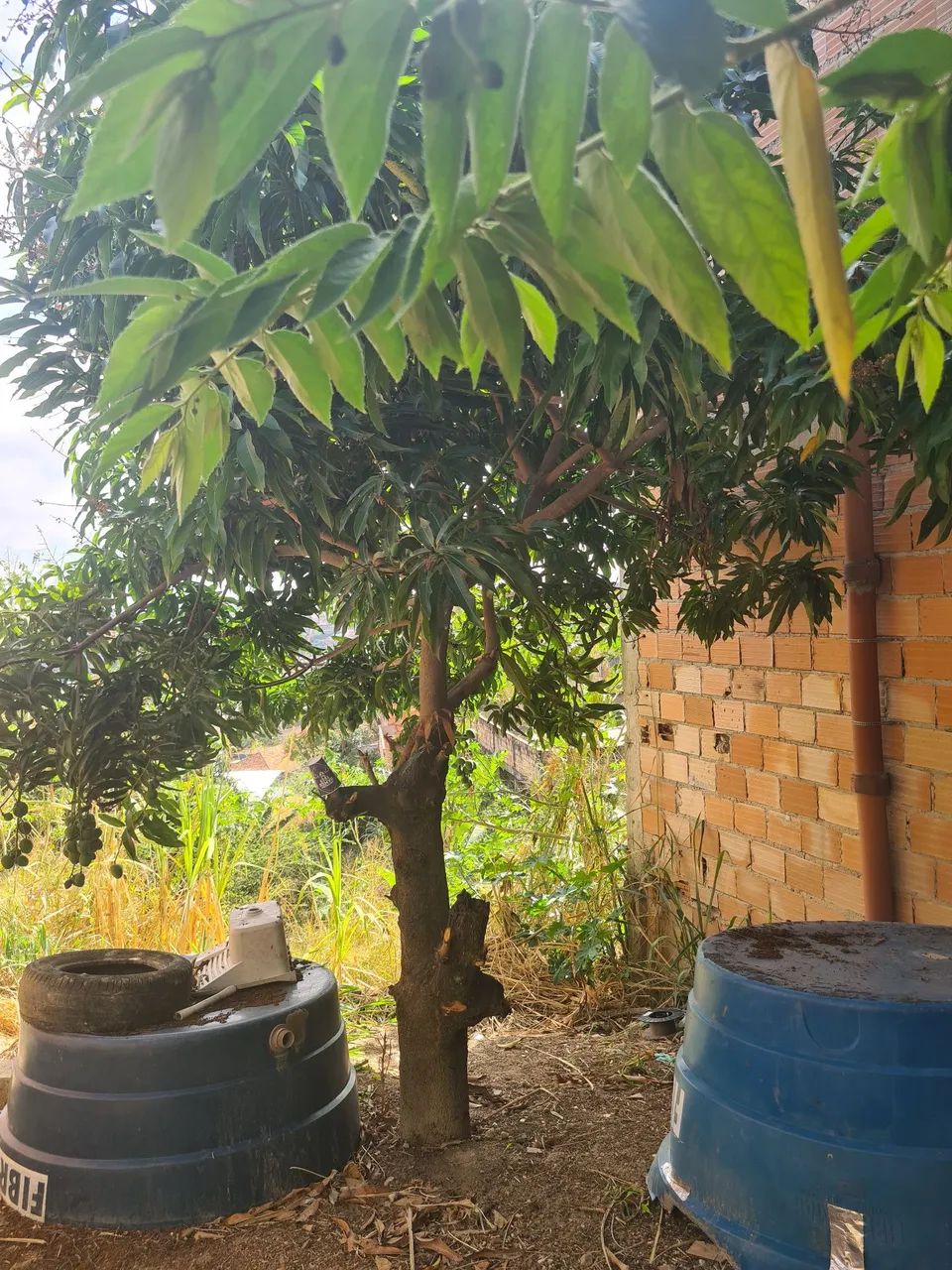 Casa em Vila  - Foto 5