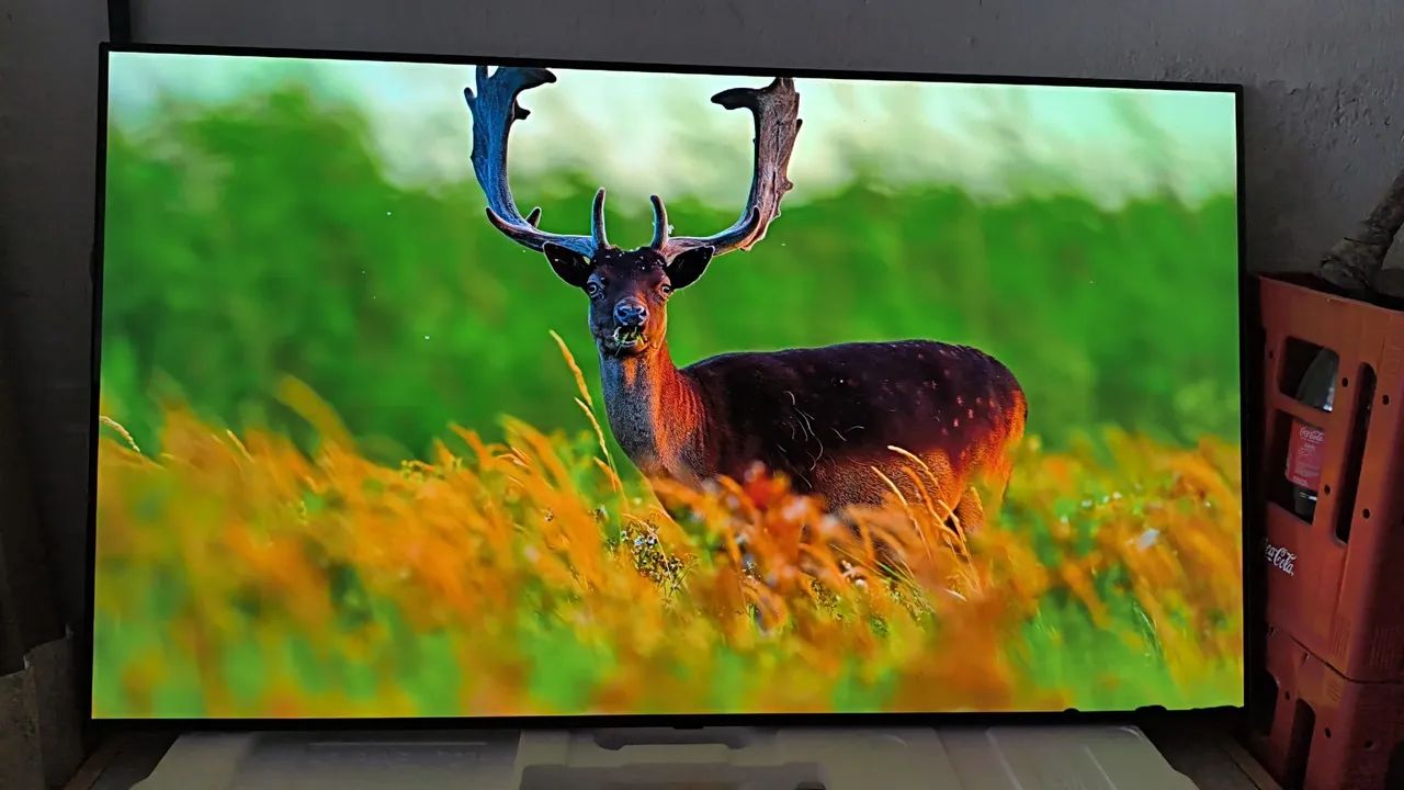 Tv Smart LG 55 Polegadas 4k Ultra HD OLED Completa  - Foto 3