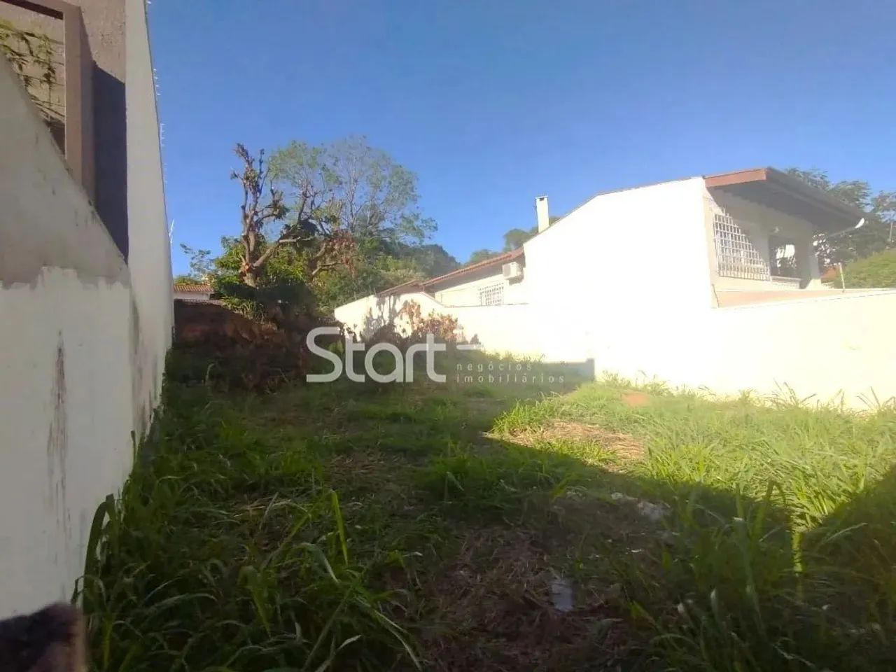 terreno - Taquaral - Campinas - Foto 2
