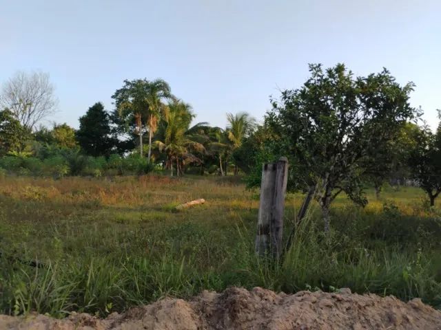 Terreno em castanhal-Pa - Foto 5