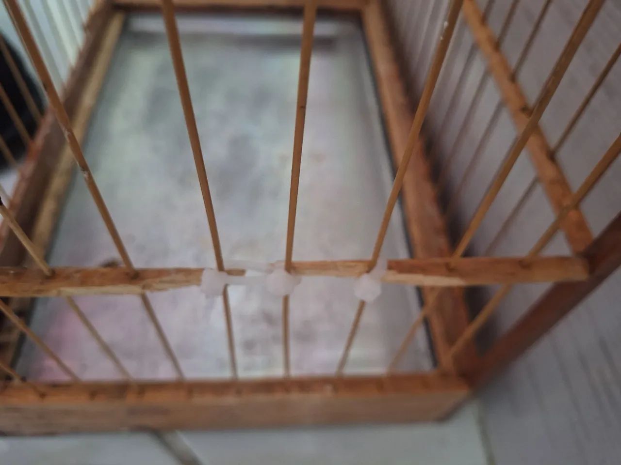 Gaiola para passarinho tia chica - Foto 4