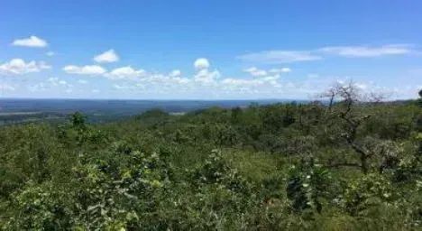 Fazenda Bebedouro | Baliza/GO - 387,20 ha - Foto 5