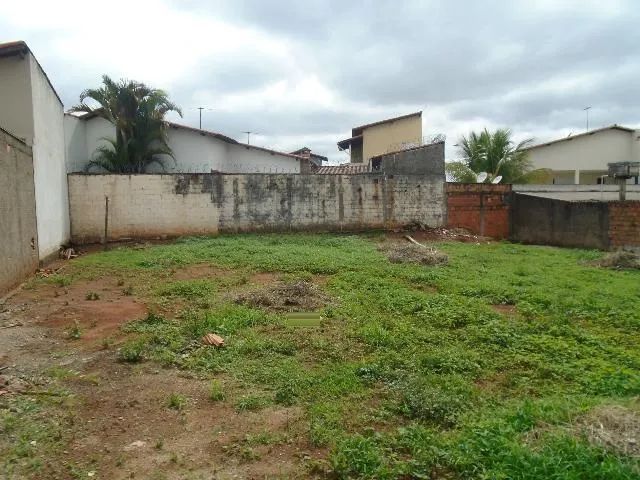 Terreno Padrão em Uberlândia - Foto 4