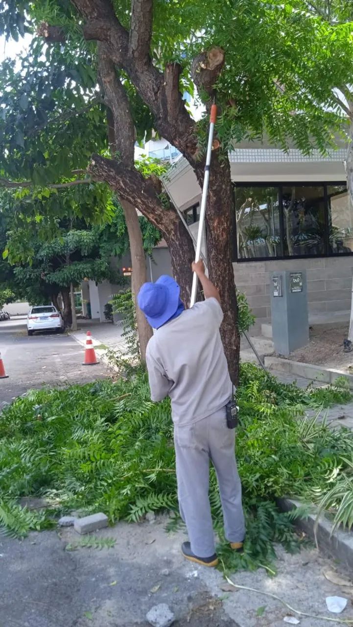 Serviços de jardinagem em geral em Fortaleza ce  - Foto 2
