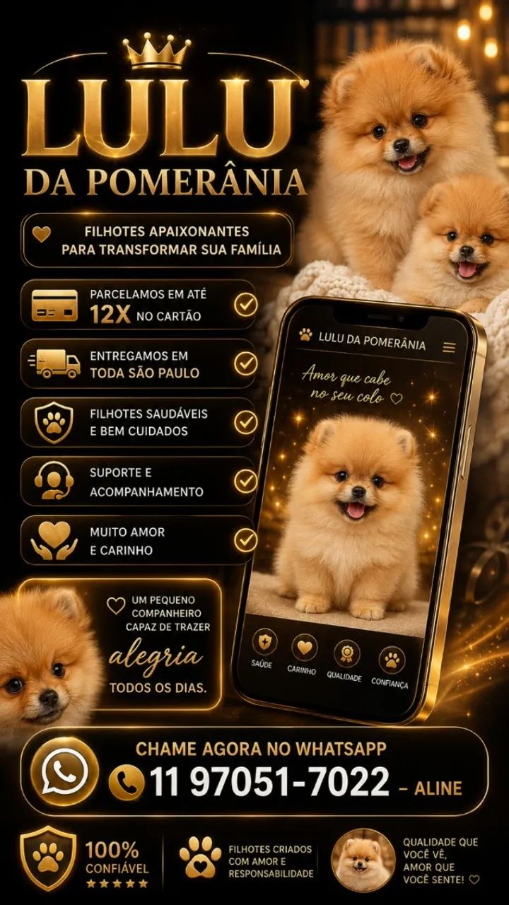 Spitz alemão  - Foto 4