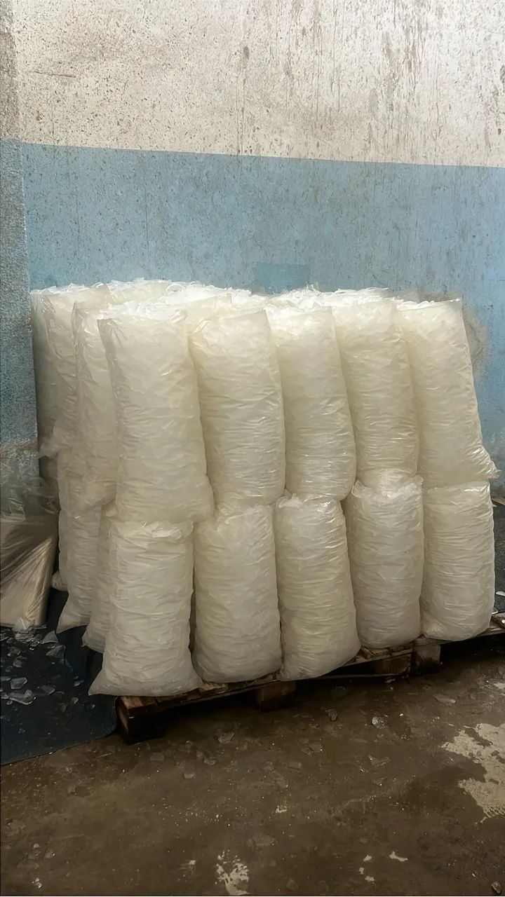 Fábrica de Gelo Escama  - Foto 4