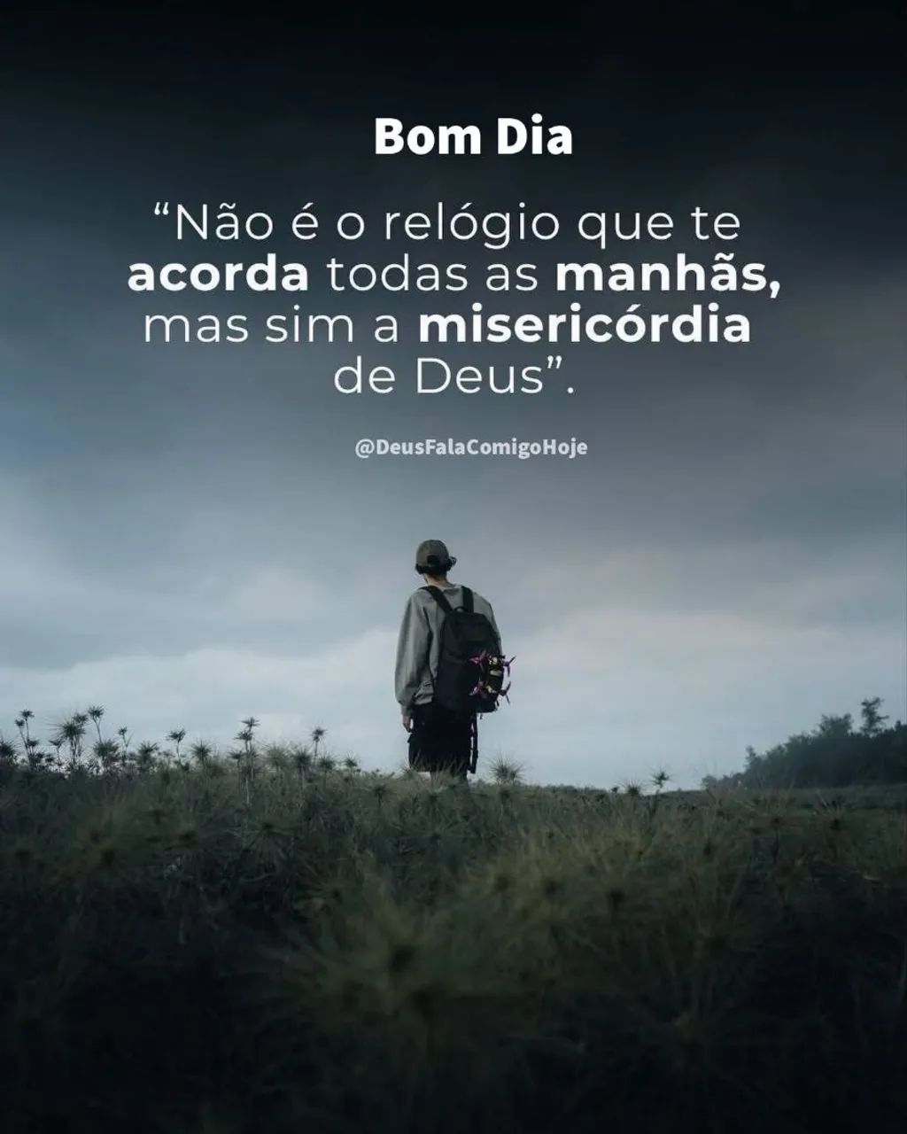 Cuidador de idosos 