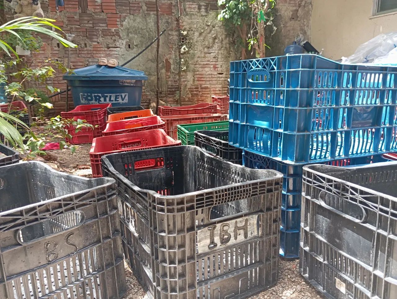 Caixa plástica hortifruti usada  - Foto 4