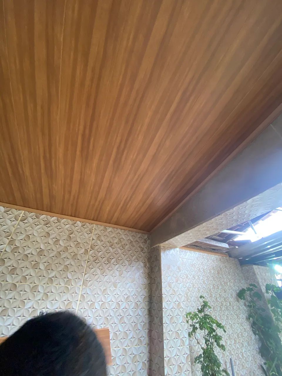 Forre seu lar comigo! - Foto 3