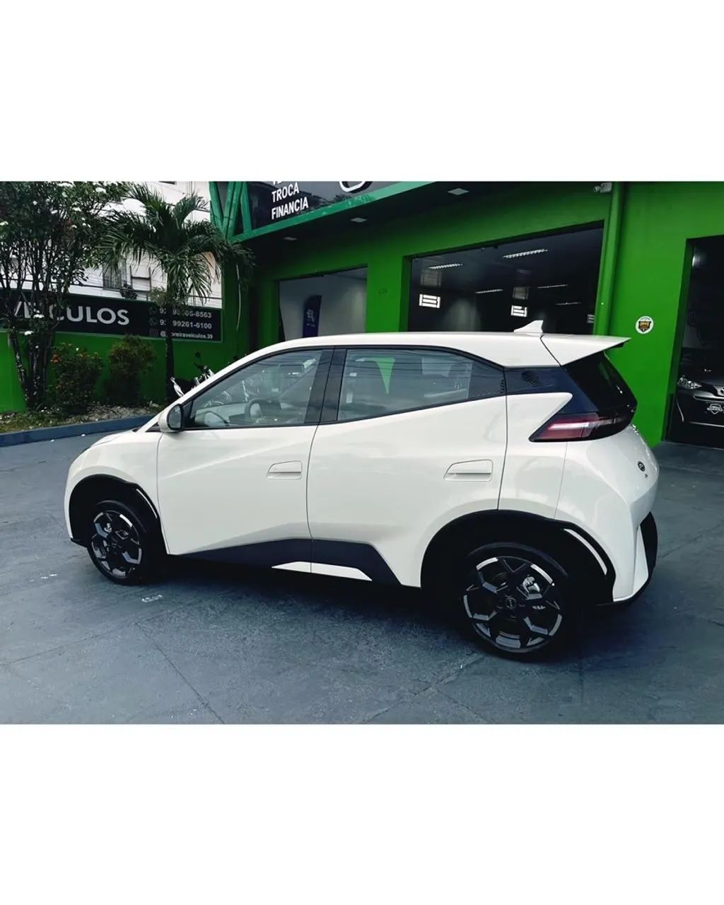 BYD Dolphin Mini GL 2027 - Foto 4