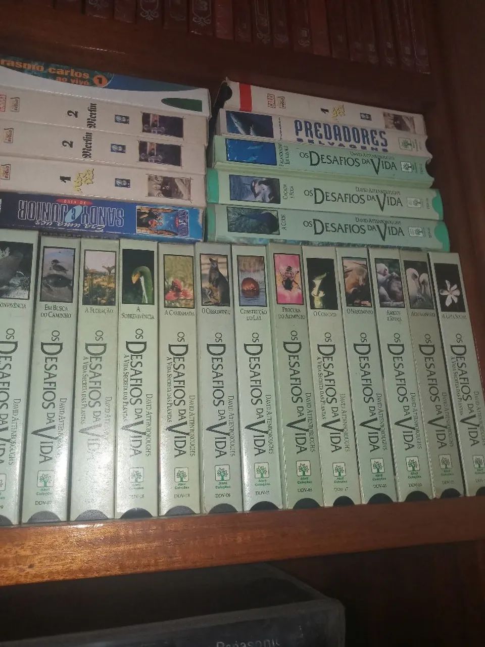 COLEÇÃO OS DESAVIOS DA VIDA EM VHS COM 18 FITAS