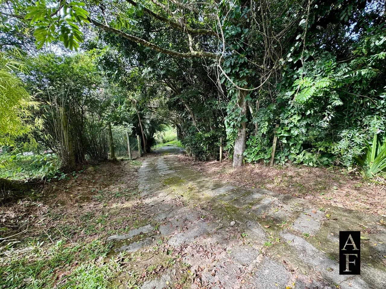 Terreno em Garopaba na Silveira - Foto 4