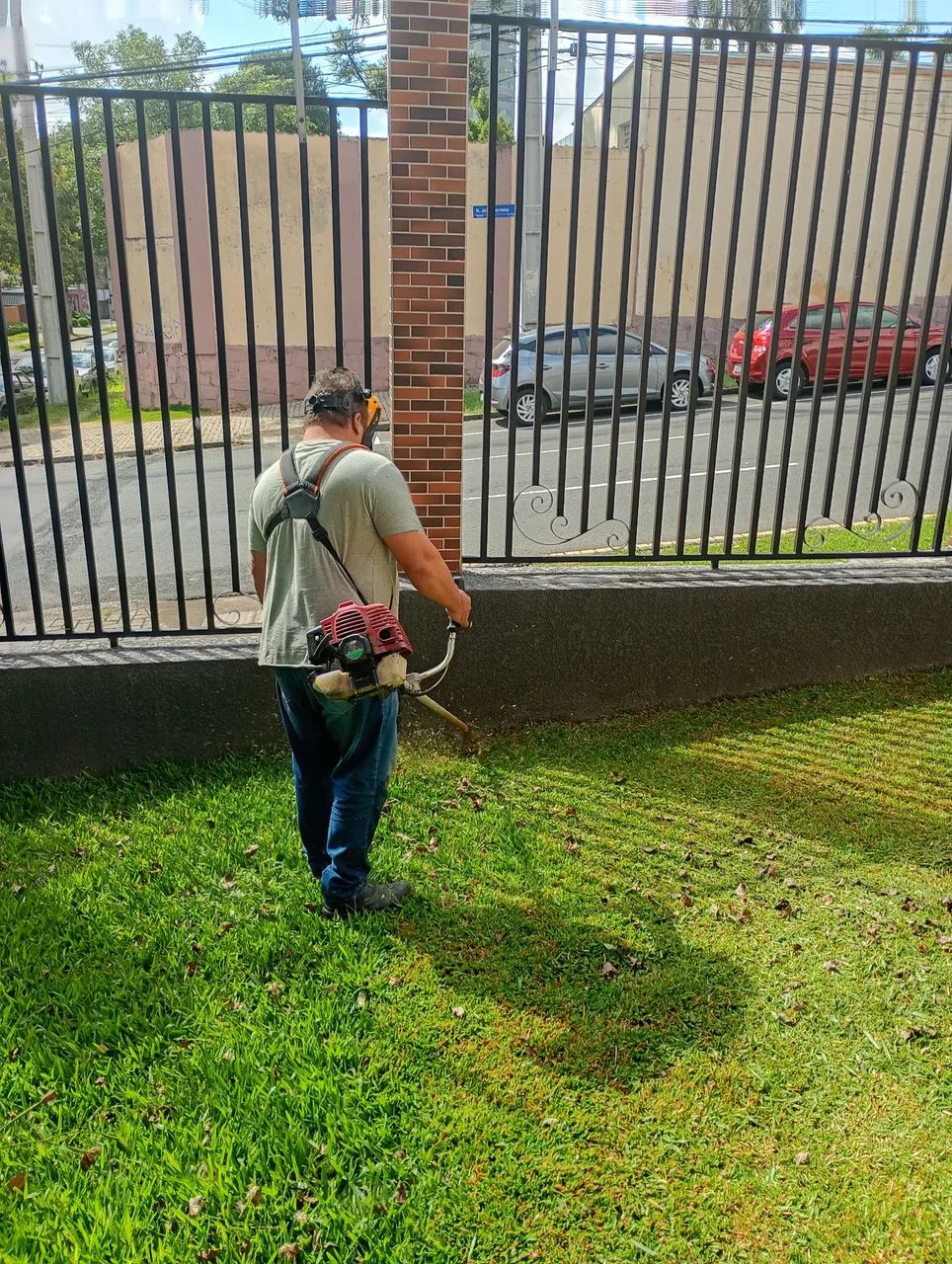 Faço jardinagem 