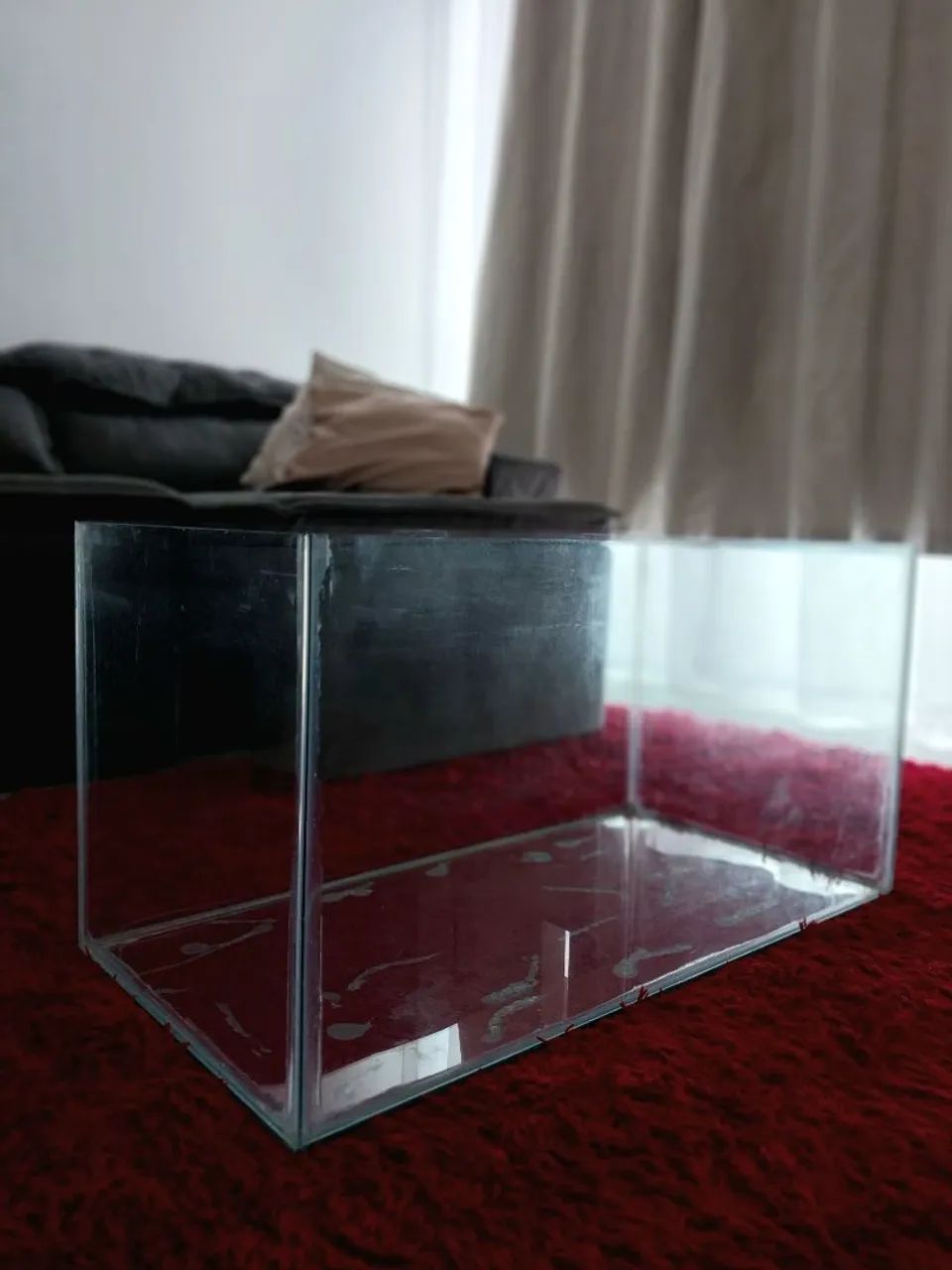 Aquário - Foto 4