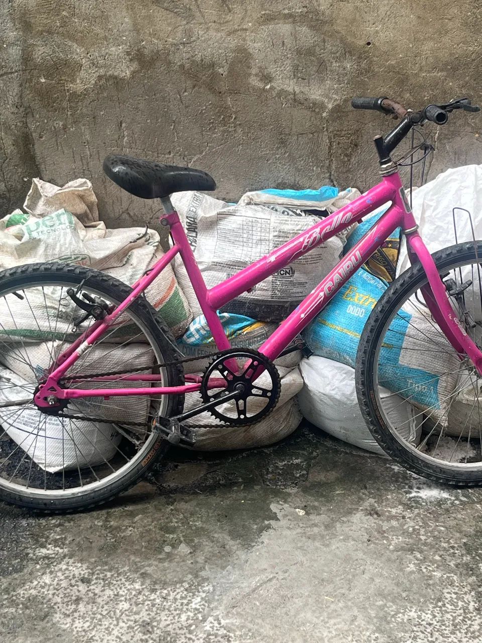 Bicicleta 