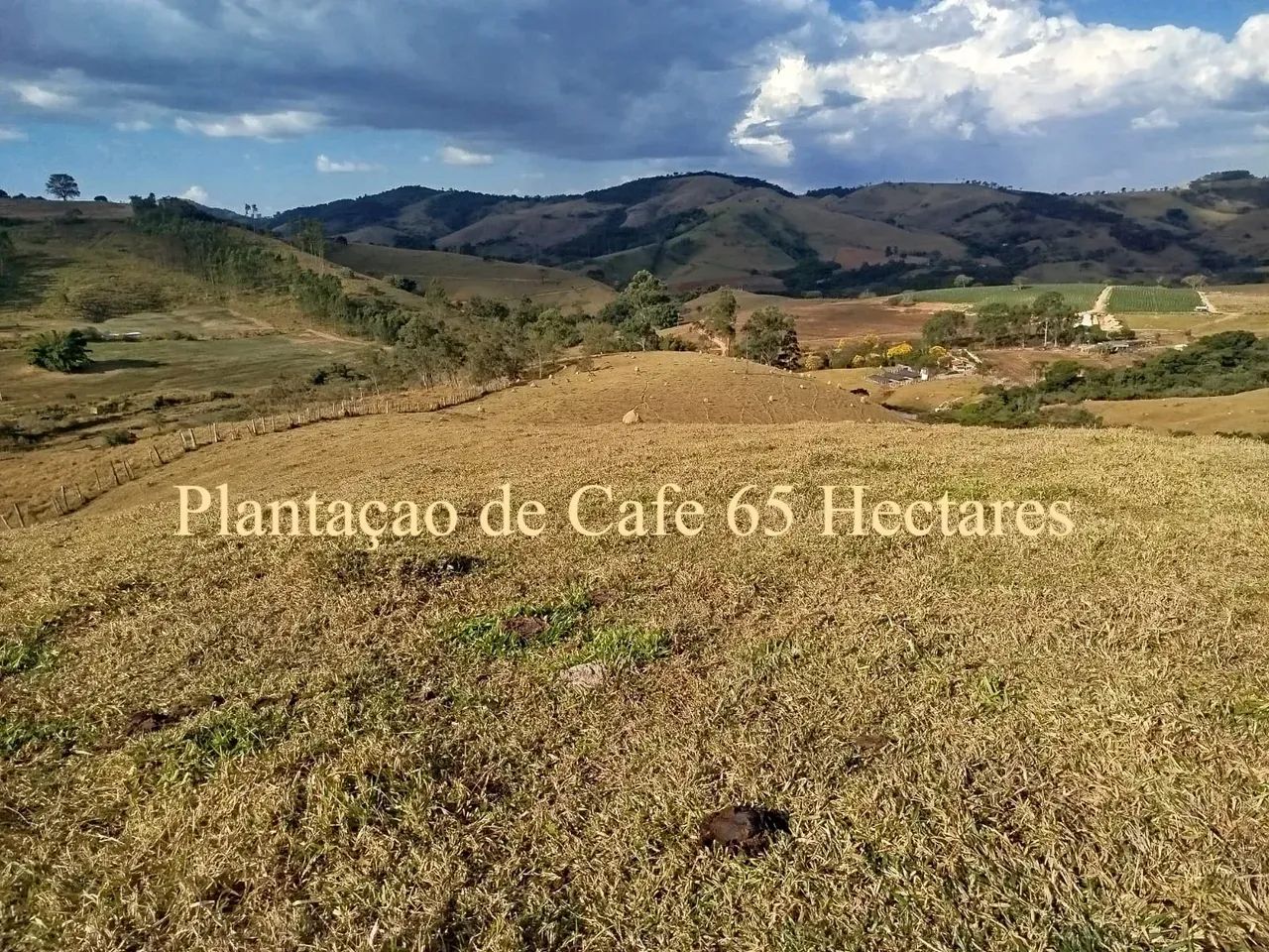 Fazenda em Oliveira /MG 65 hectares café E PLANTAÇOES DIVERSAS,, PODENDO USAR AGUA POR GRA