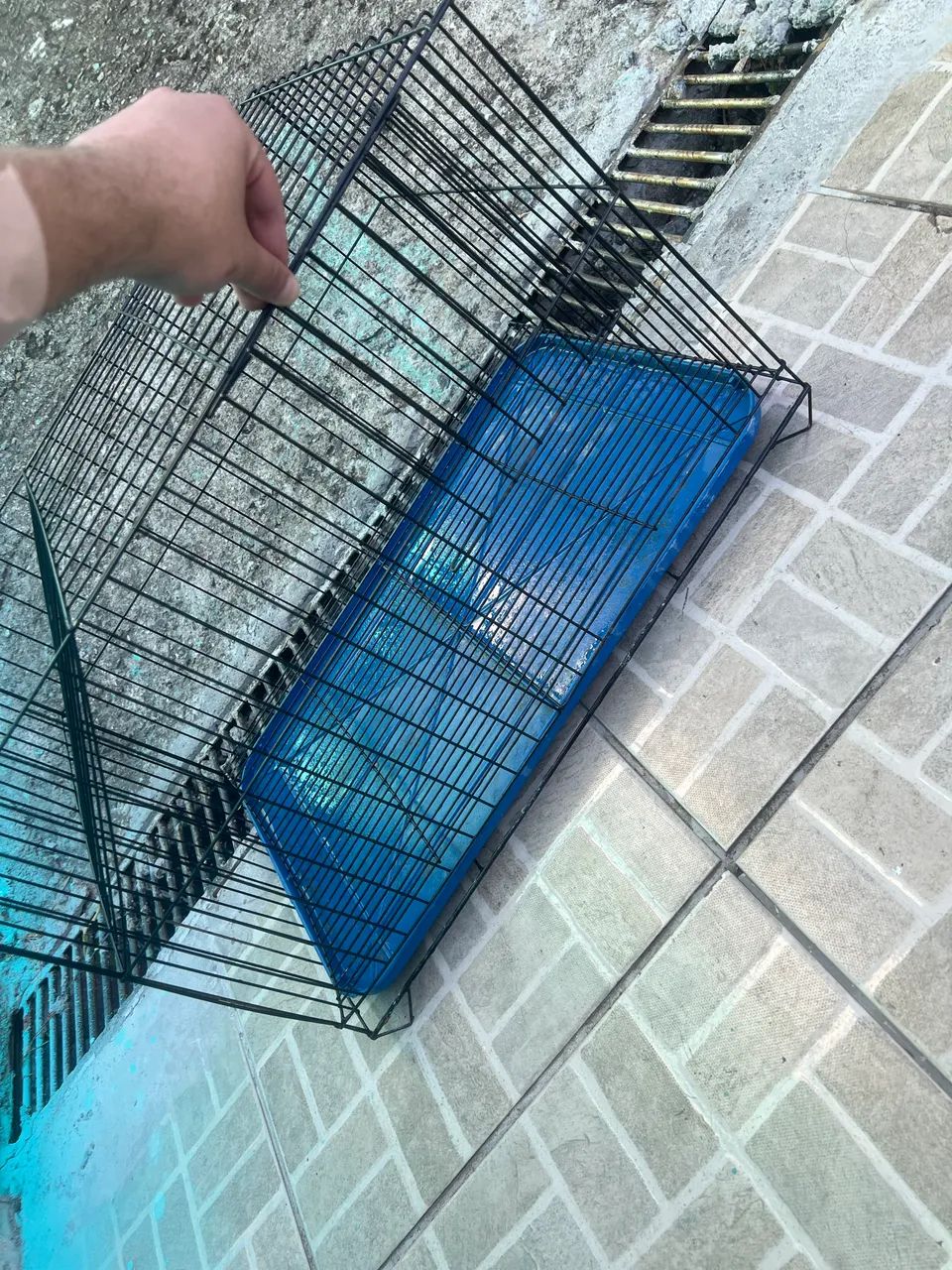 Gaiola de roedores  - Foto 5