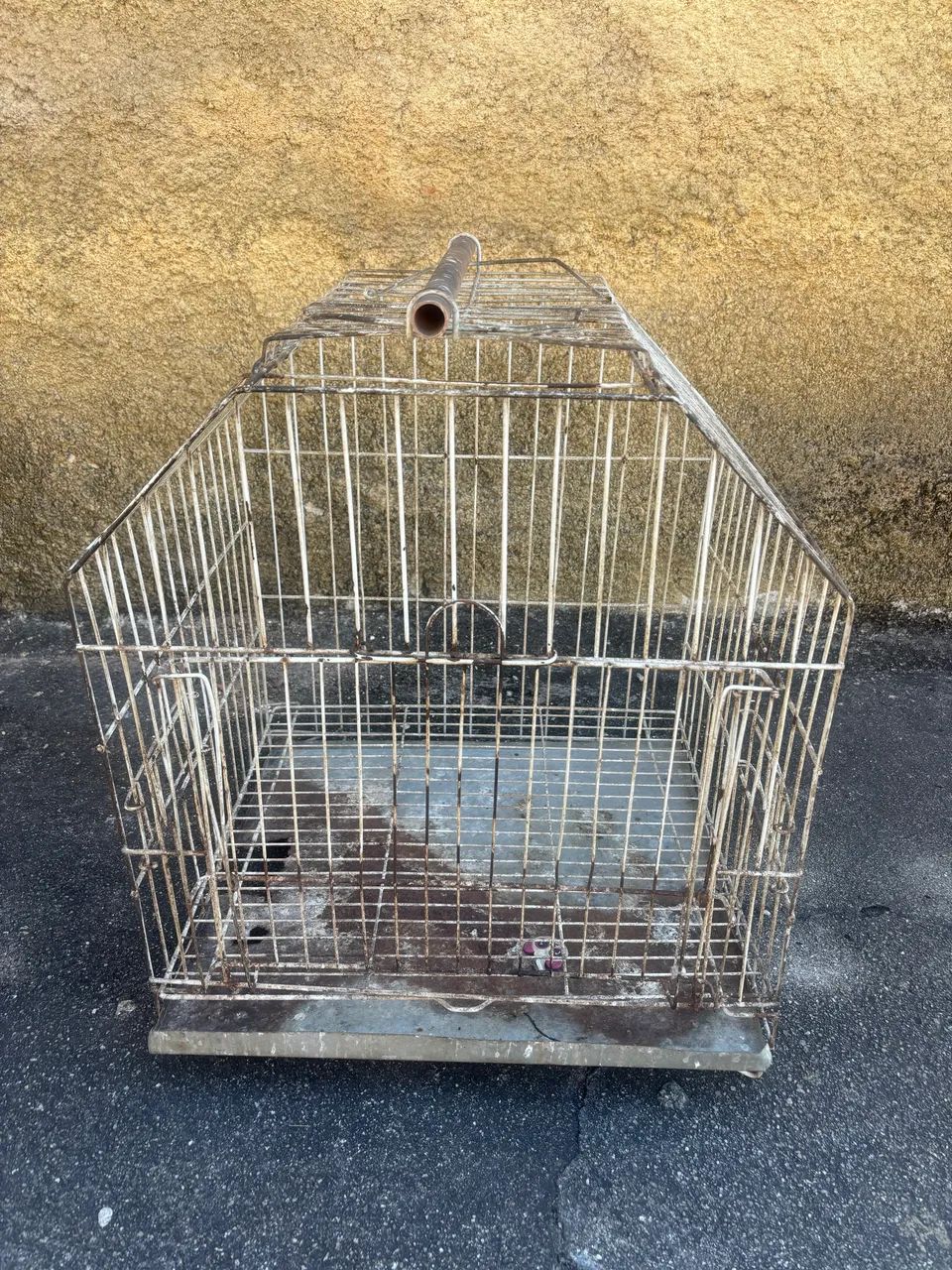 Gaiola de passarinho  - Foto 2