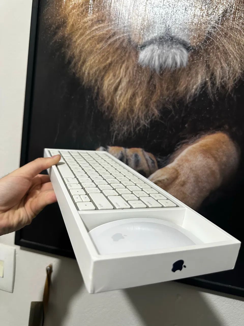 Kit Apple Magic Keyboard + Magic Mouse - Foto 3