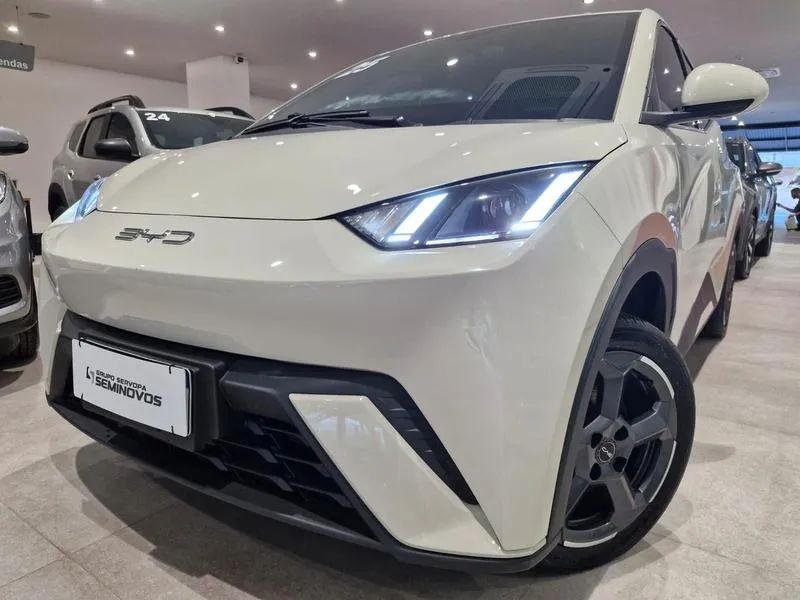 BYD Dolphin DOLPHIN EV (ELTéTRICO) 2025
