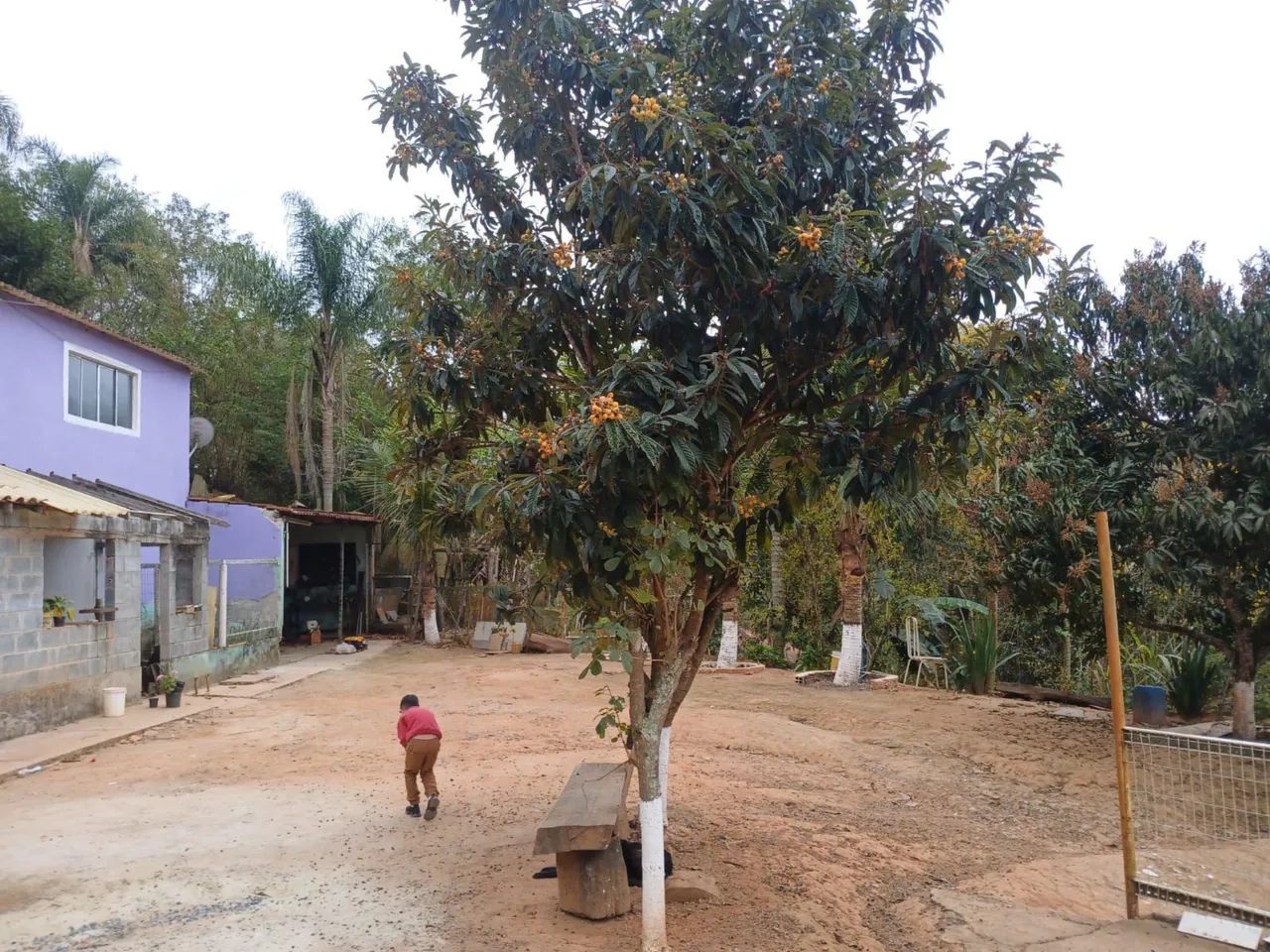 Chácara em santa Isabel - Foto 3