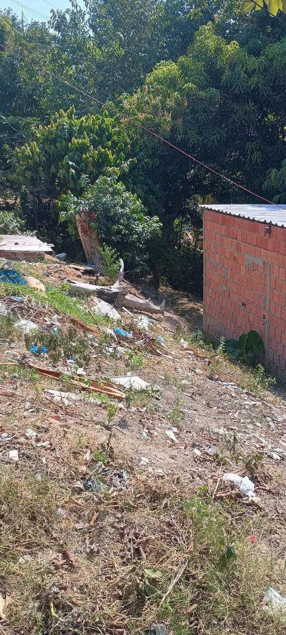 Terreno 6 mil  - Foto 3