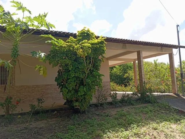 Sítio em Alhandra/PB com 7,3 hectares com casa completa - Foto 3