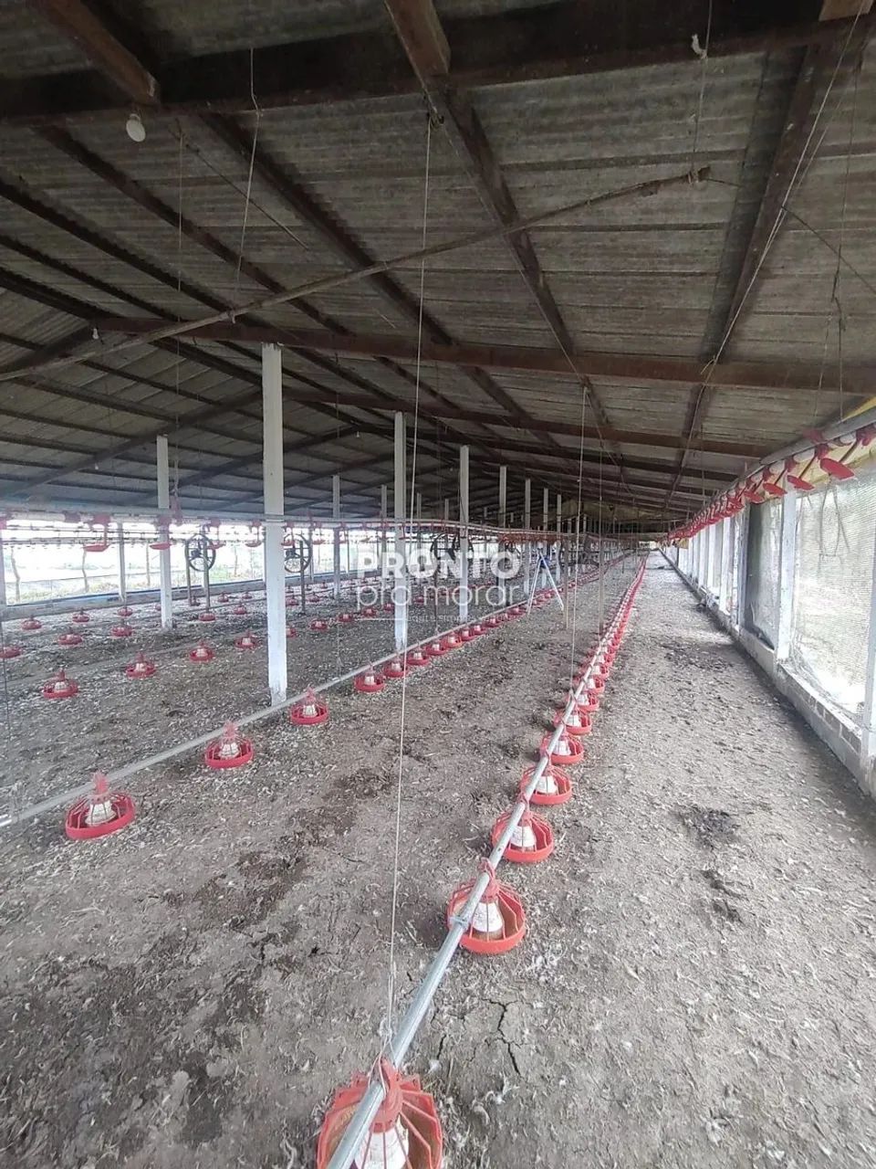 Fazenda/Sítios/Chácaras com 4 quartos em Alto José Leal - Foto 5
