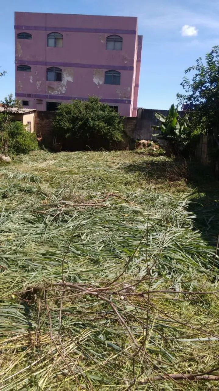 Roçagem em geral  - Foto 4