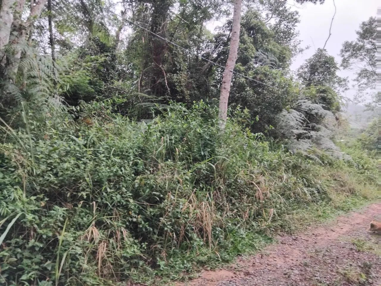 Terreno em Juquitiba  - Foto 4