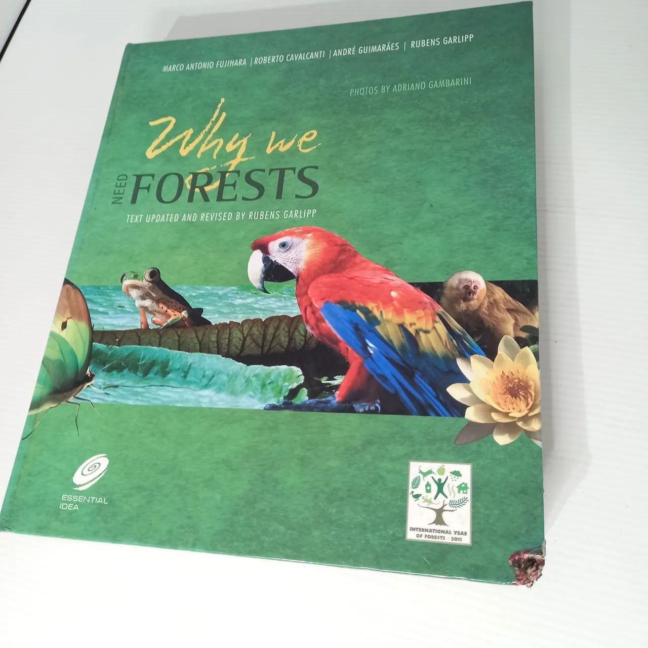 Why we Forests