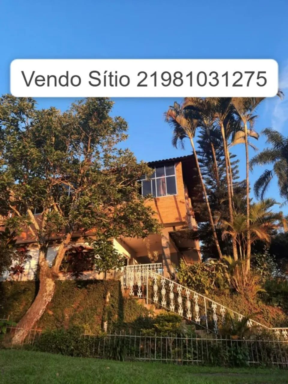 Foto - Engenheiro Paulo de Frontin - 