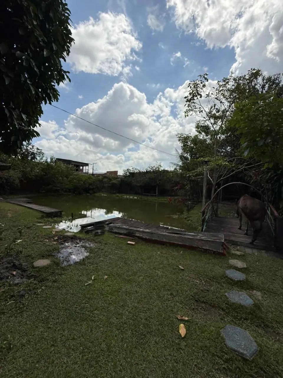 Ótimo Terreno para investimento na Cidade Nova 8 - Foto 3