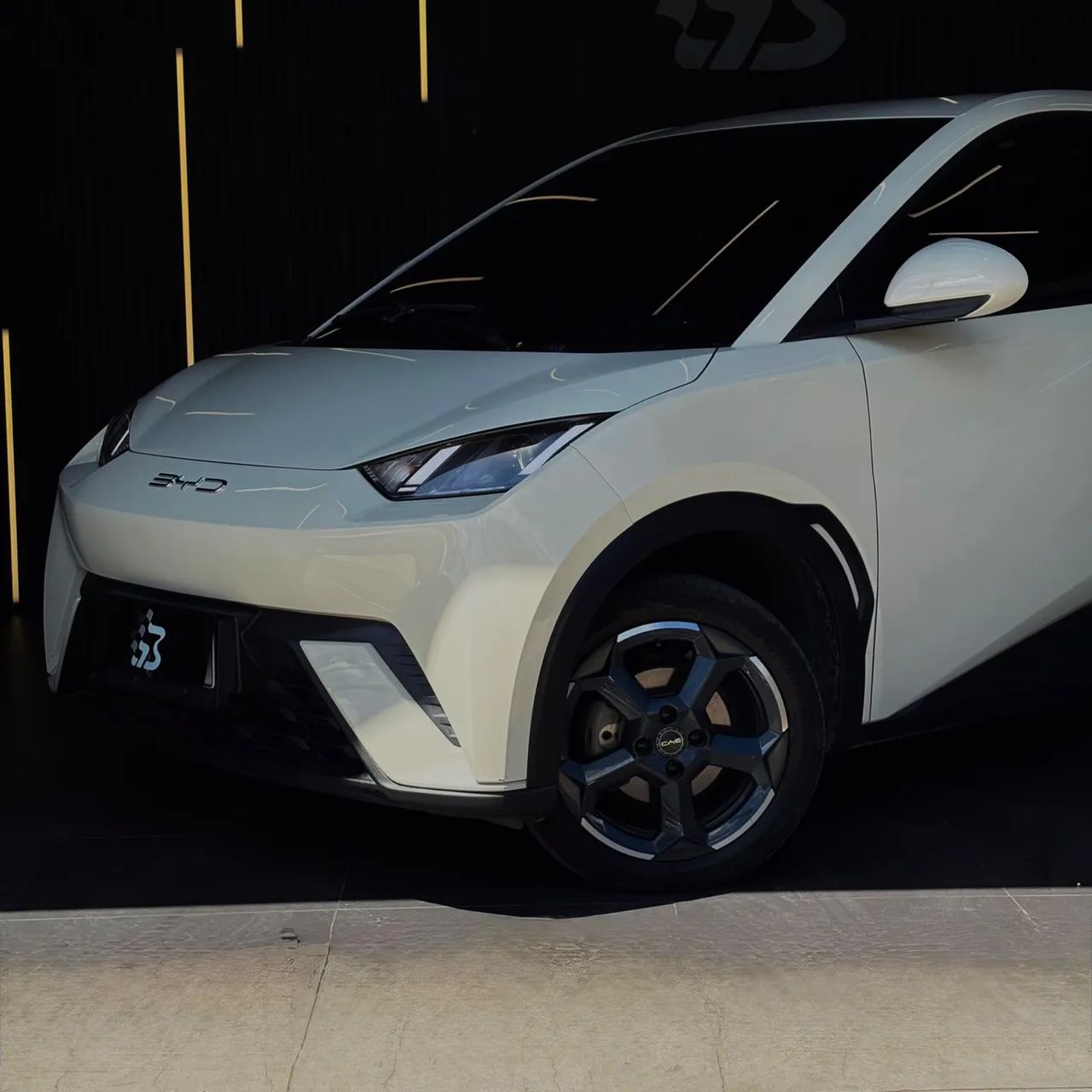 BYD Dolphin Mini (Elétrico) 2024 - Foto 2