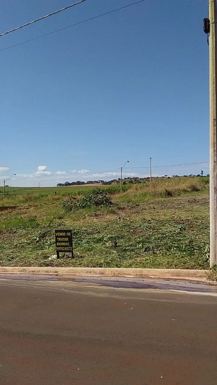 Foto - Ribeirão Preto - Fazenda Santa Rita do Picadão