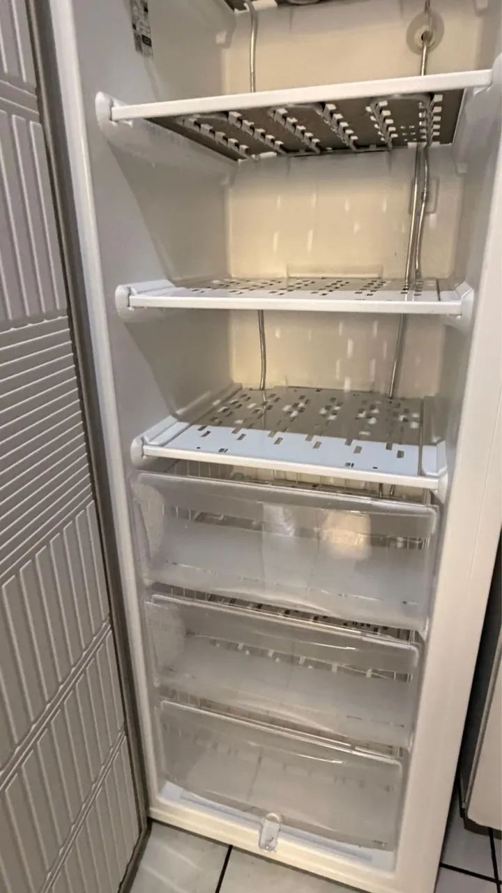 Freezer Electrolux 
