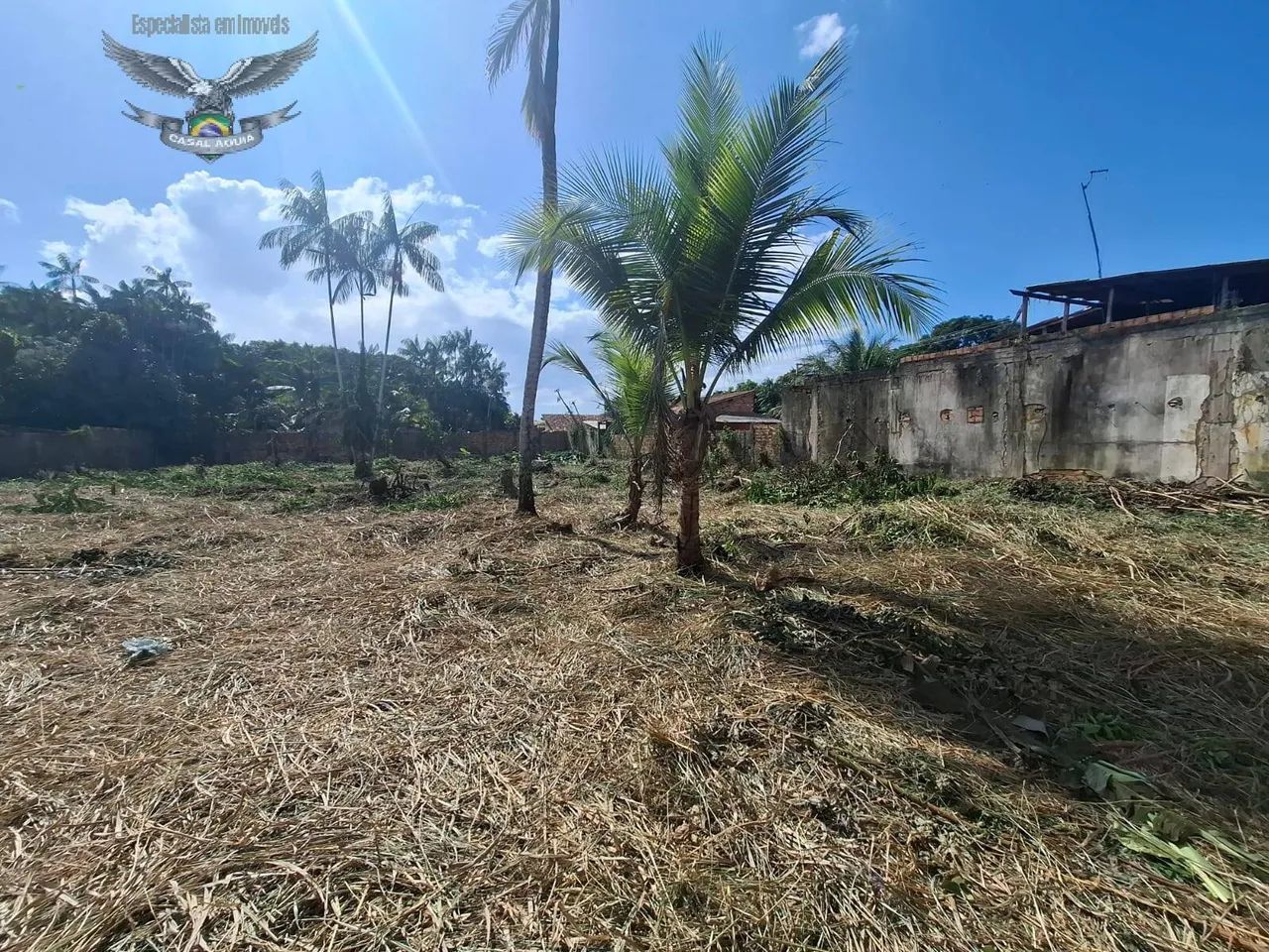 LINDO TERRENO EM ÓTIMA LOCALIZAÇÃO - Foto 3