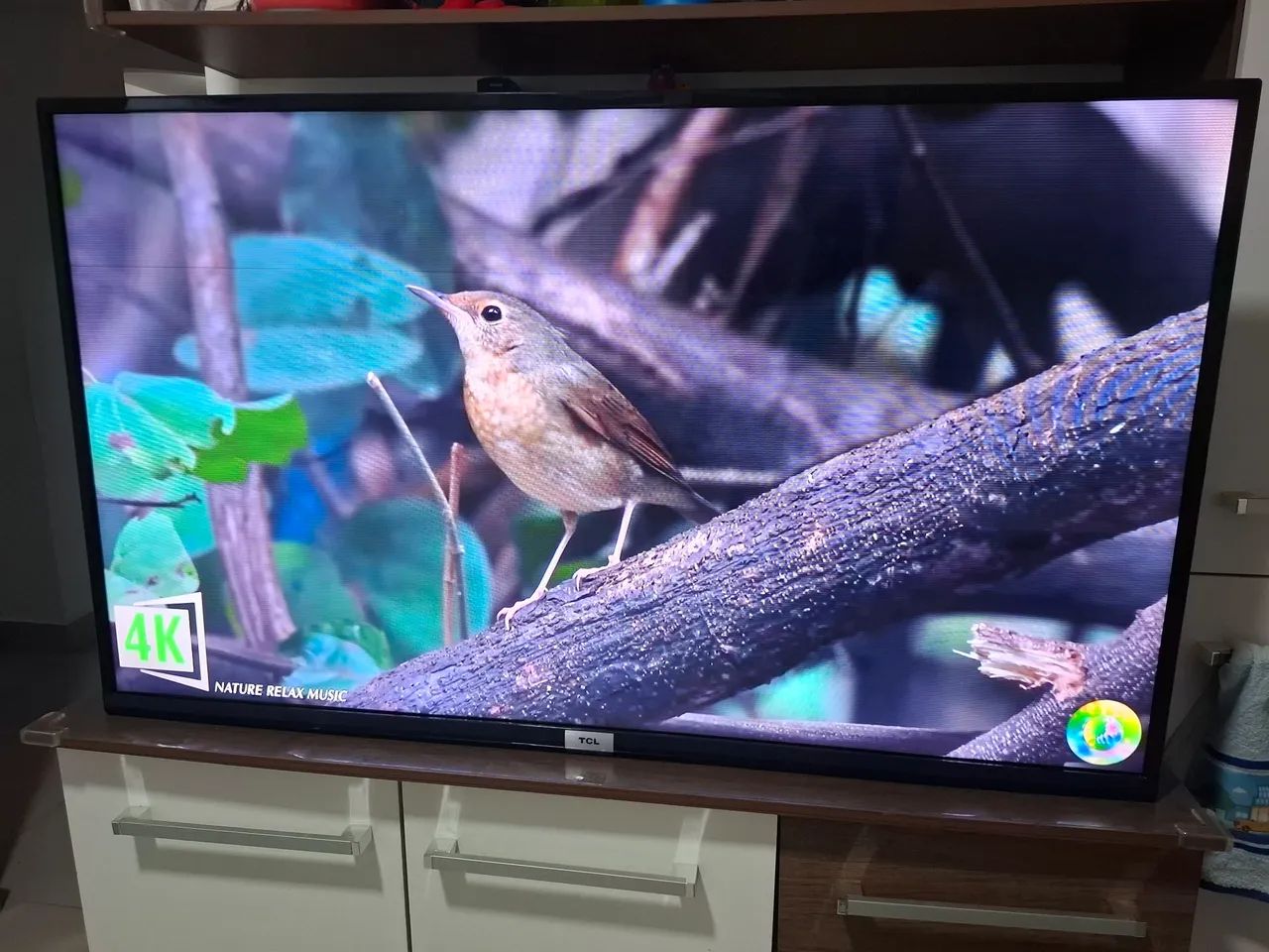 TV TCL 50 polegadas  - Foto 3