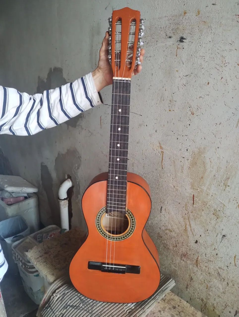 Viola 