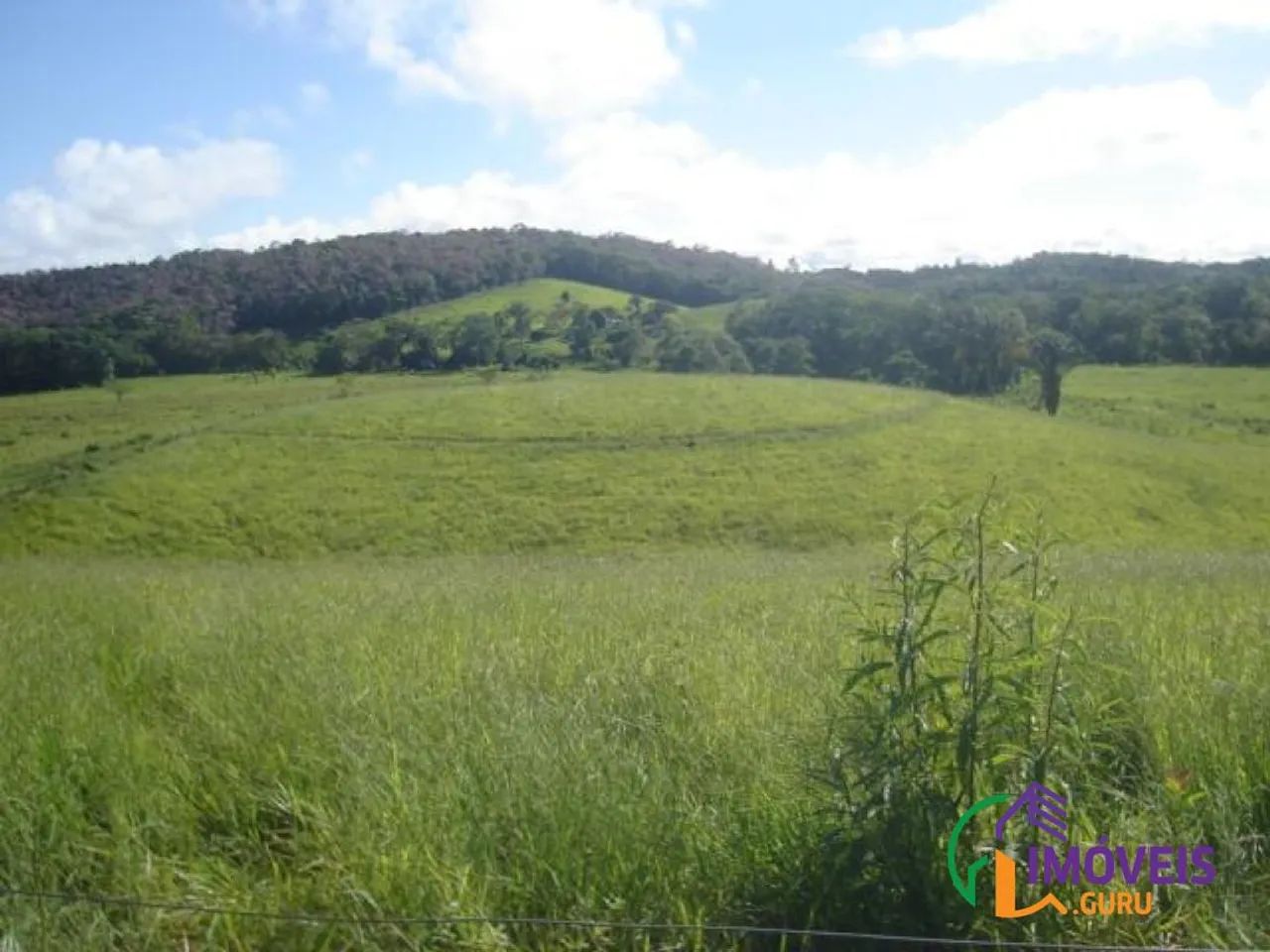 AREA - PARQUE SANTA ROSA - SP - Foto 3