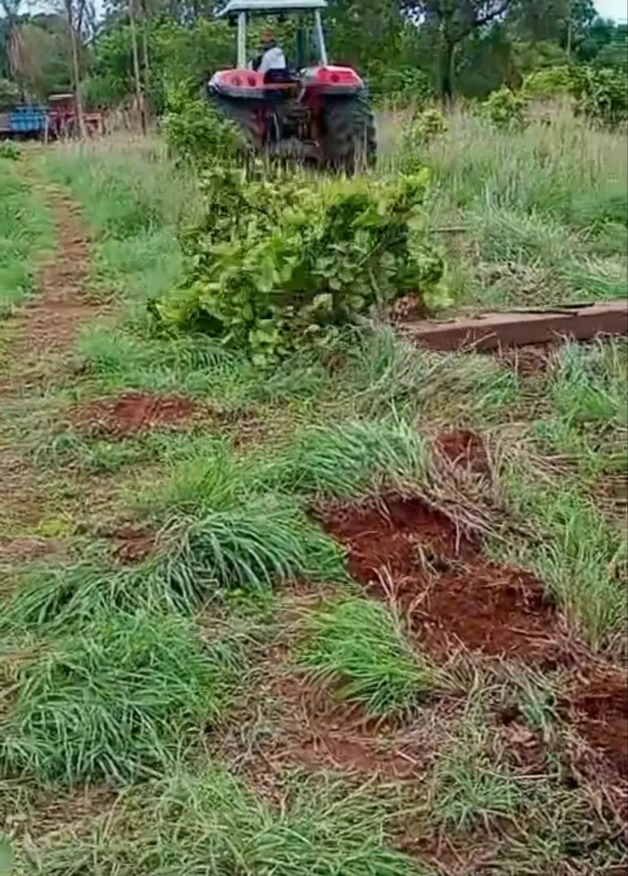 Implemento de limpar pasto. - Foto 3