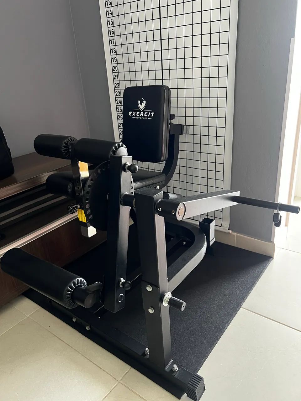 Cadeira extensora / flexora exercit