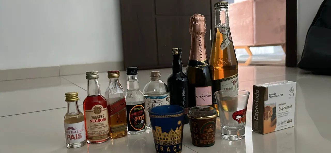 Kit Miniaturas de Bebidas Colecionáveis + Copos de Dose + Infusão Gin - Foto 4