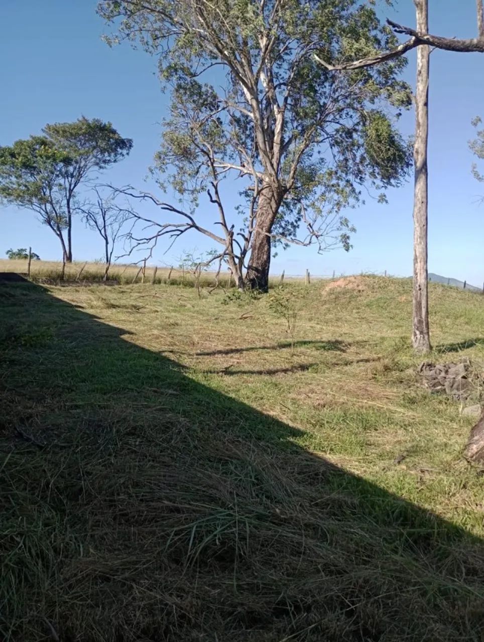 Sítio com área construída no terreno de 10 hectares e 9 ares - Foto 4