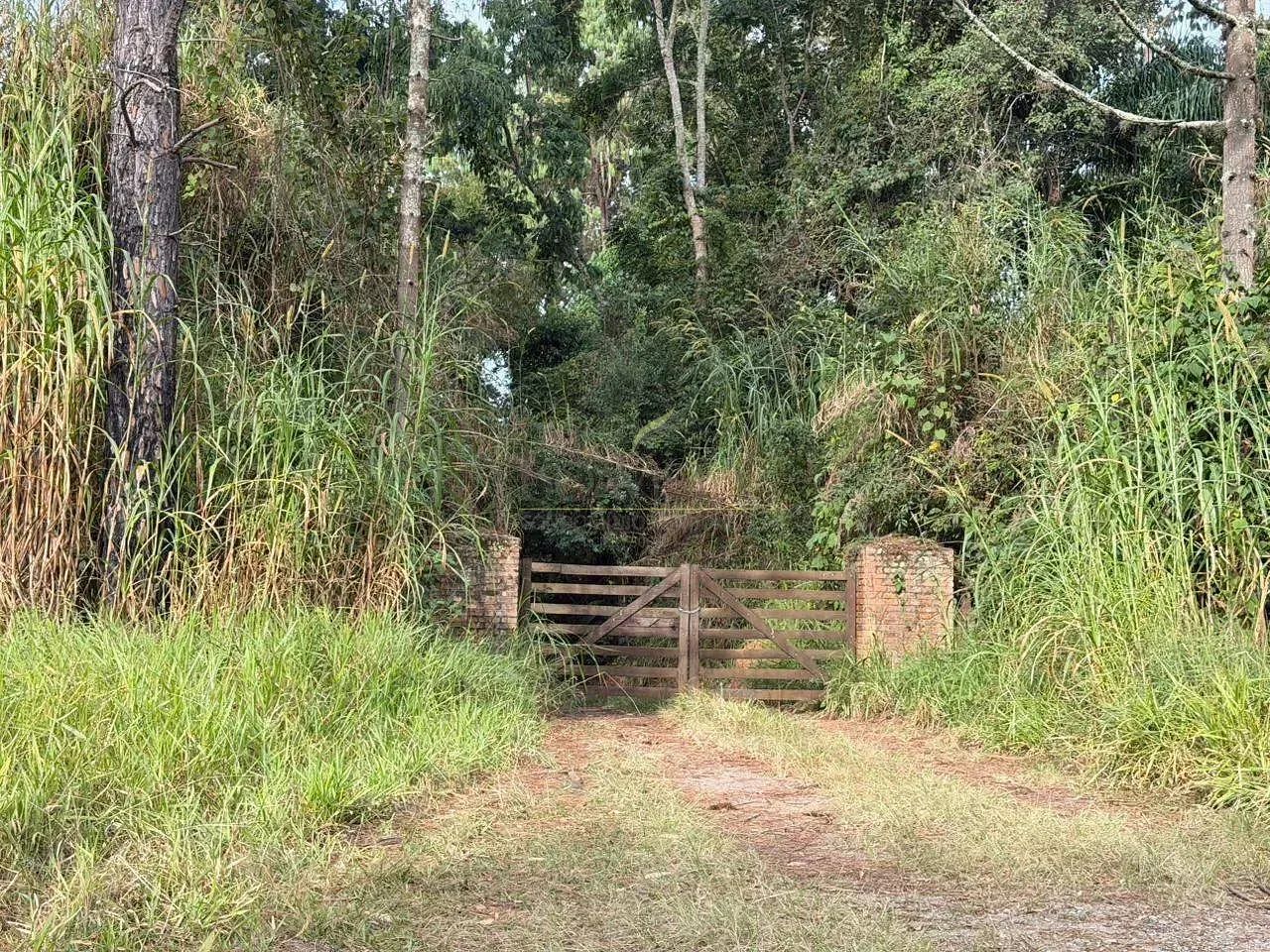 Sítio à venda | Barrocão | Piracaia, SP - Foto 4
