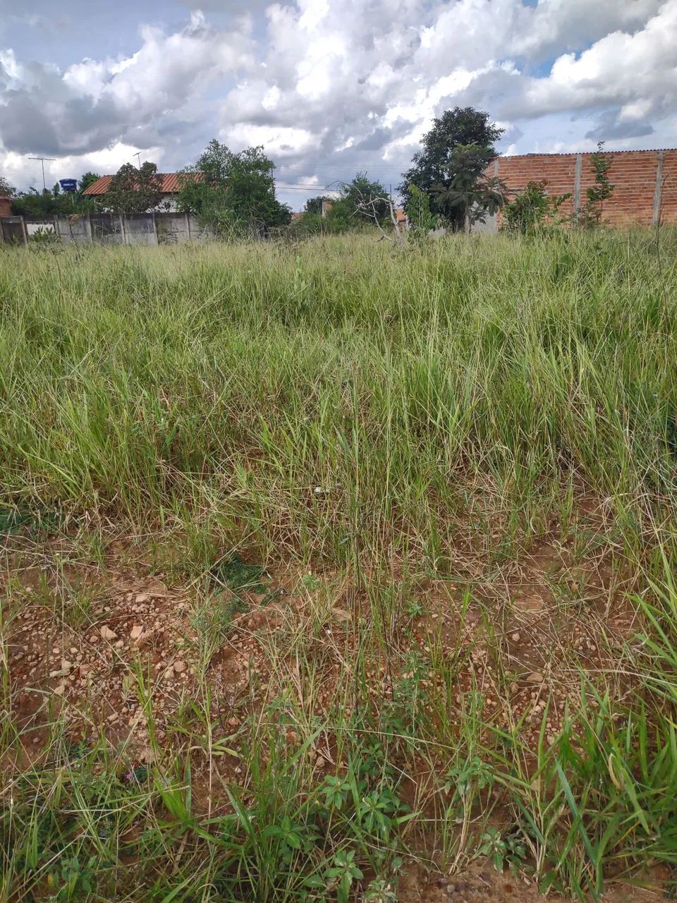 Foto - Goiânia - Setor Rio Formoso